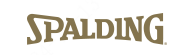 SPALDING(斯伯丁)