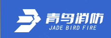 BEIDA JADE BIRD(北大青鸟)