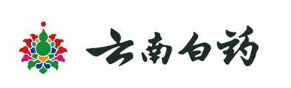 YUNNANBAIYAO(云南白药)