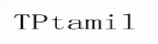 TPtamil(耐普星域)